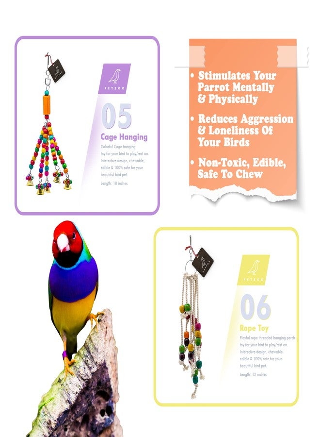 PETZOO Bundle of 8 Birds Toys Climbing Net, Paper Shredded Foraging Chew, Swings, Ring Perches & Hangings - Image 4